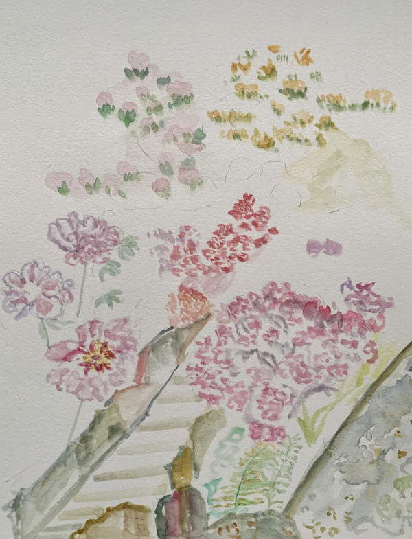 Watercolor painting - Full bloom